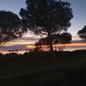 https://villetta-porto-corallo-vista-mare.in-sardinia.net